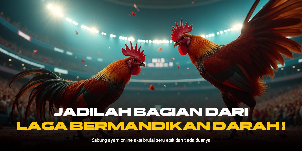 Mengenal Jenis Ayam dan Odds Sabung Ayam SV388 yang Harus Kamu Tahu